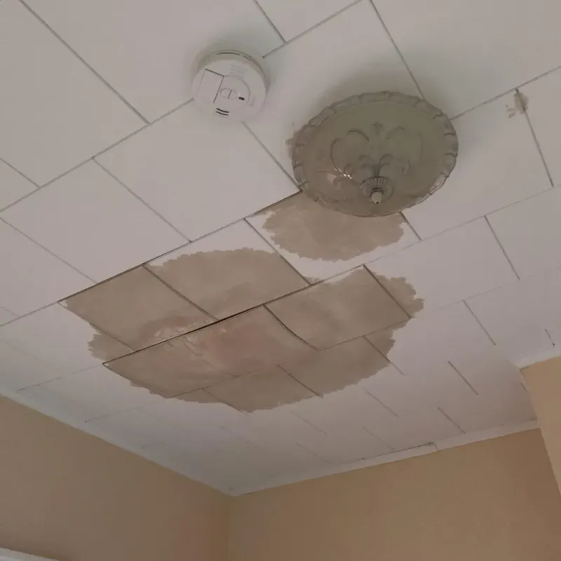 Ceiling Water Damage Repair in Bridge City, TX