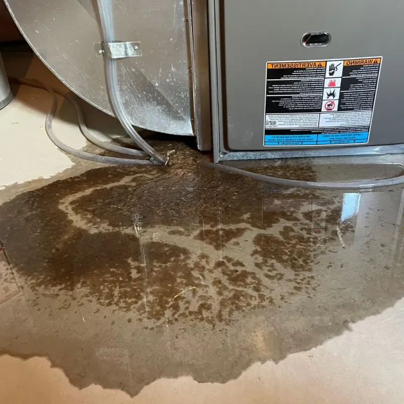 Pipe Burst and Leak Restoration in Bridge City, TX