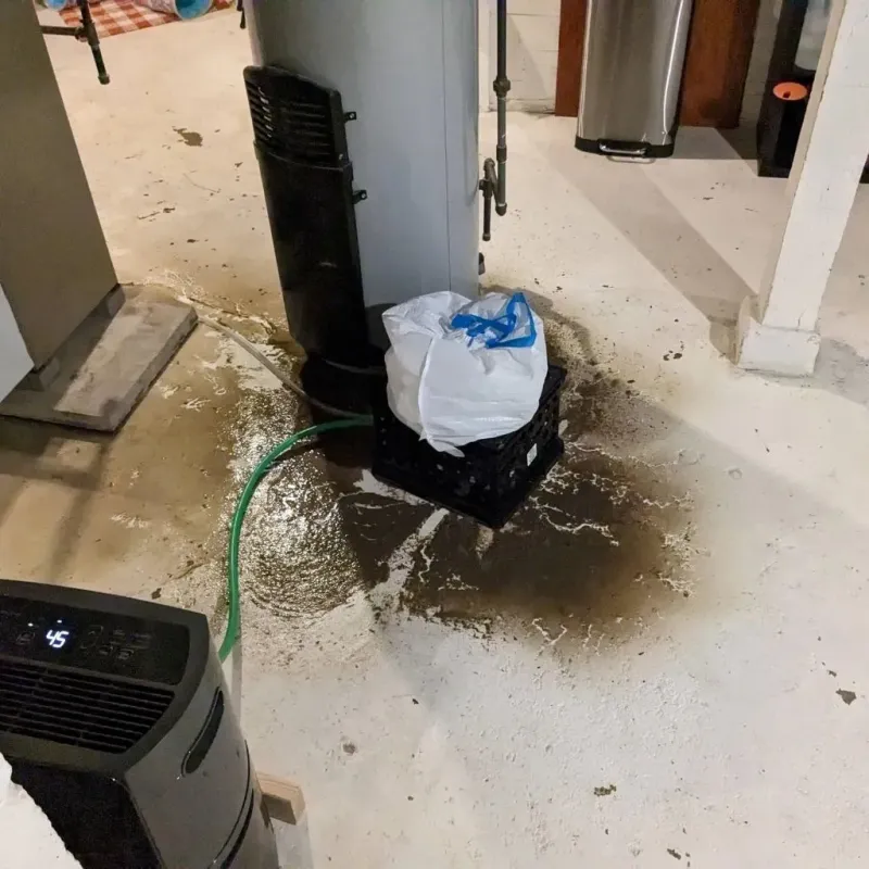 Sewage Backup Cleanup Service in Bridge City, TX